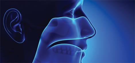 Ear, nose and throat claims image